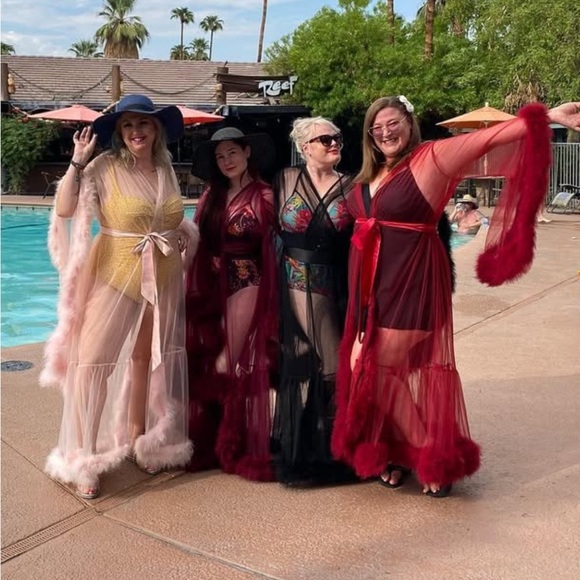 BLACK Fancy sheer feather lined robe in - Picture 4 of 4